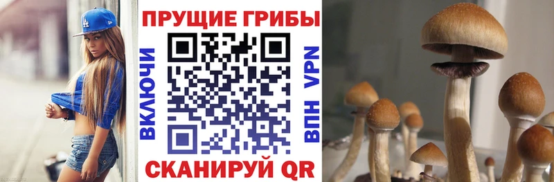 Псилоцибиновые грибы Psilocybine cubensis  OMG онион  Можайск 